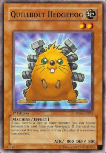 Quillbolt Hedgehog Card Front