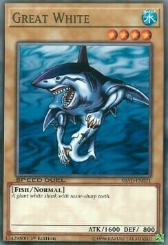 Great White Card Front