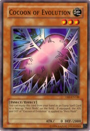 Cocoon of Evolution · Common 148