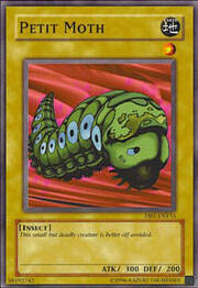 Petit Moth · Common 155