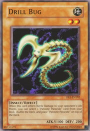 Drill Bug · Common 192