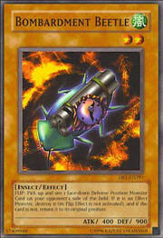 Bombardment Beetle · Common 197