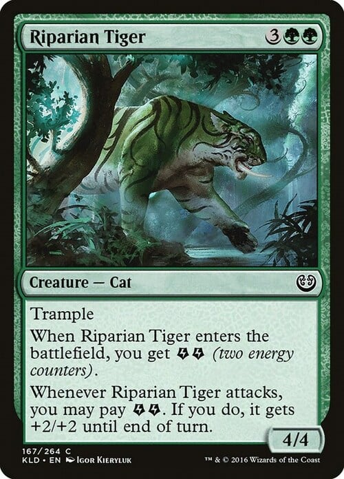 Tigre delle Rive Card Front