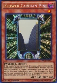 yugioh duel link amazoness deck Yugioh Amazoness Deck
