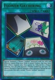 Flower Gathering · Ultra Rare 040