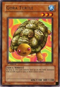 Gora Turtle Card Front