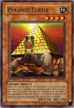 Pyramid Turtle Card Front