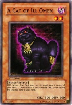 A Cat of Ill Omen Card Front