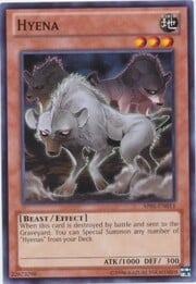 Hyena · Common 014