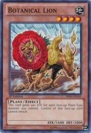 Botanical Lion · Common 145