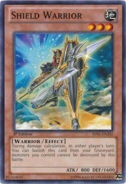 Shield Warrior Card Front