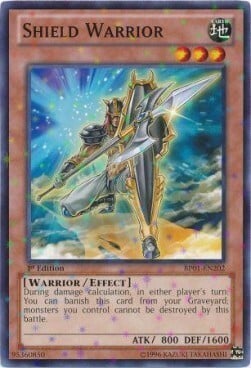 Shield Warrior Card Front