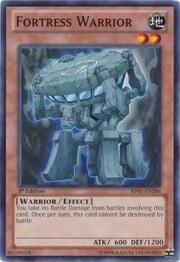 Fortress Warrior · Common 206