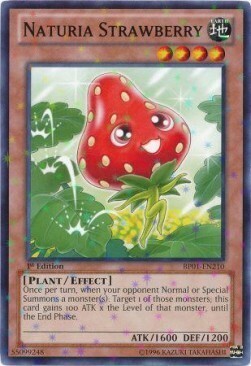 Naturia Strawberry Card Front