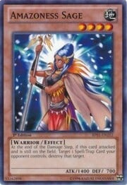 Amazoness Sage · Common 212