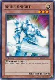 Shine Knight · Common 217