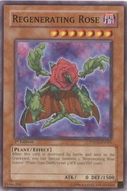 Rosa Regeneradora