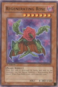 Regenerating Rose Card Front