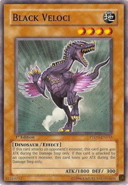 Black Veloci · Common 033