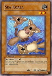 Sea Koala · Common 037