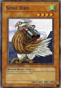 Sonic Bird Card Front