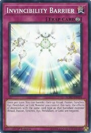 Invincibility Barrier · Common 076