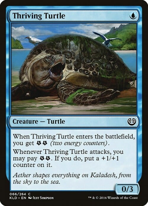 Tartaruga Vigorosa Card Front