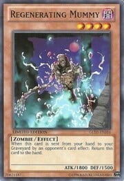 Regenerating Mummy · Common 016