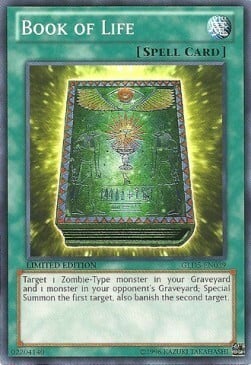 Book of Life Card Front