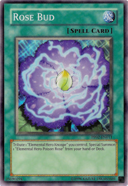 Rose Bud Card Front