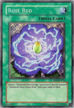 Rose Bud Card Front