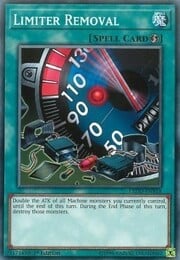 Limiter Removal · Common 018