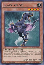 Black Veloci · Rare 037