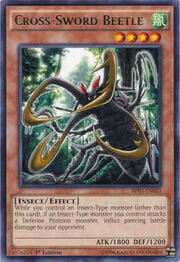 Cross-Sword Beetle · Rare 053