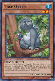Tree Otter · Common 062