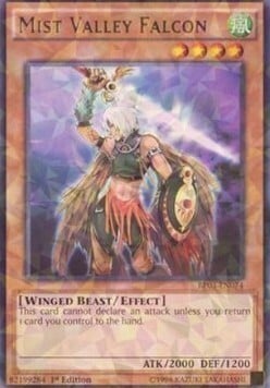 Mist Valley Falcon Card Front