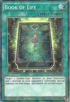 Book of Life Card Front