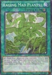 Raging Mad Plants · Shatterfoil 165sh