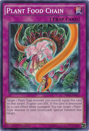 Plant Food Chain · Common 212
