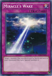 Miracle's Wake · Common 220