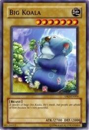 Big Koala · Common 004
