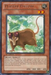 Playful Possum · Rare 007