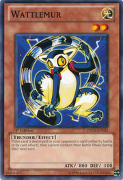 Wattlemur · Common 025