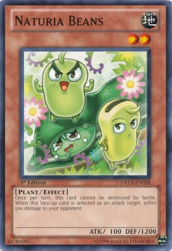 Naturia Beans Card Front