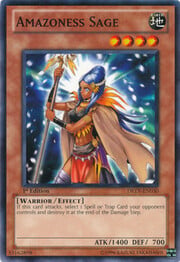 Amazoness Sage · Common 030