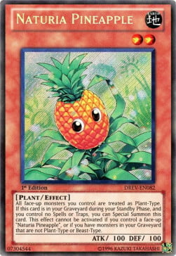 Naturia Pineapple Card Front