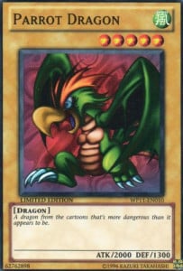 Parrot Dragon Card Front