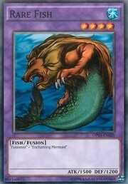 Rare Fish · Common 026