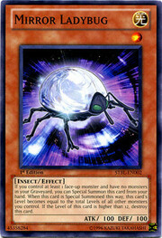 Mirror Ladybug · Common 002