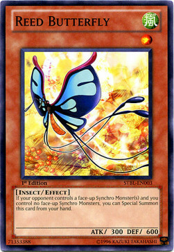 Reed Butterfly Card Front